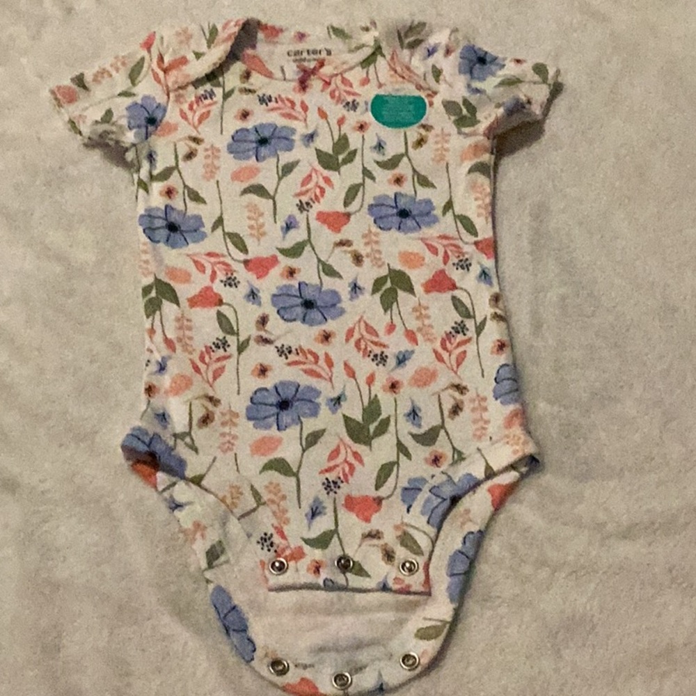 Carter's Blue and Pink Bodysuits Set for Infants - Picture 7 of 10